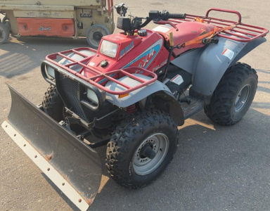 1993 POLARIS 350
