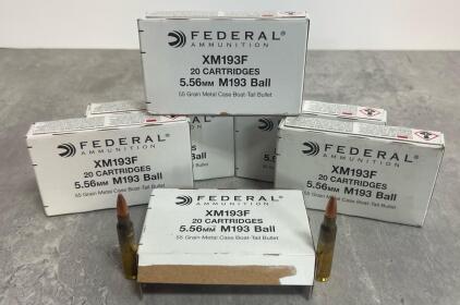 Federal XM193F 5.56x45MM 55 Grain FMJ Brass Ammo, 100 Rounds, Factory Boxes