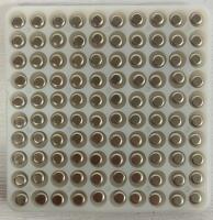 (5) Boxes CCI Magnum Small Rifle Primers No. 450, 100 Count Boxes - 4