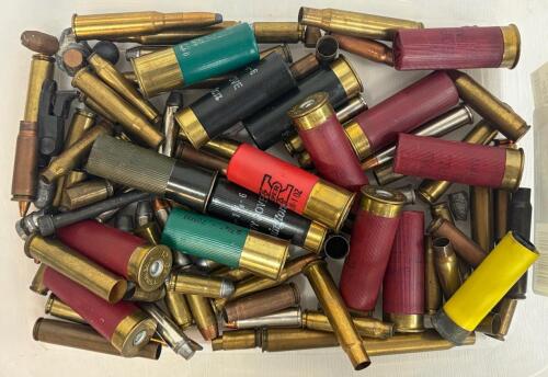 Assorted Lot: 12 Gauge Shotgun Shells, .30-06, .22 LR, Pistol/Rifle Cartridges, Reloading Bullets
