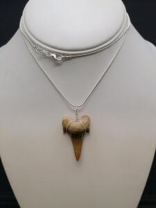SandTiger Shark Tooth Fossil Necklace