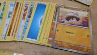 Mixed Pokemon Card Lot &ndash; 100+ Cards, Includes Holo & Reverse Holo, Raichu, Blissey, Combusken - 3