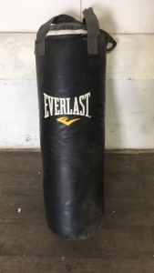 Everlast Punching Bag