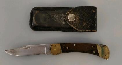 Buck 110 Folding Hunter Knife, Ebony Wood Handle, Brass Bolsters, 3.75" Blade, w/ Leather Sheath