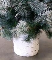 Artificial 6 ft Snow-Flocked Slim Pine Tree in Birch Pot, Indoor Decor, 24" Wide - 4