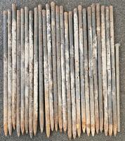 Baseball/Softball Field Kit: 29 Metal Stakes, Rake, Marking Poles, Tubes - 3