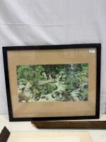 Framed Native American Portrait and Western Landscape Prints with Damaged Frames - 3