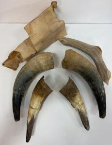 Lot of 4 Cattle Horns, 1 Deer Antler, 1 Rawhide Sheet - Unpolished, Craft Supply