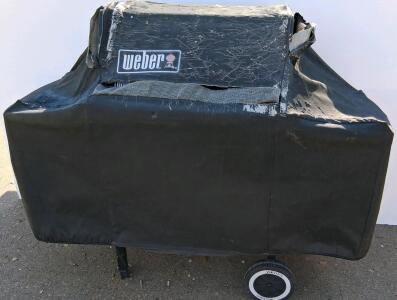 Weber Outdoor Propane Grill