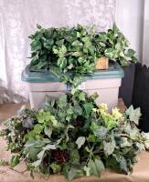 Large Storage Tote Of Artificial Ivy