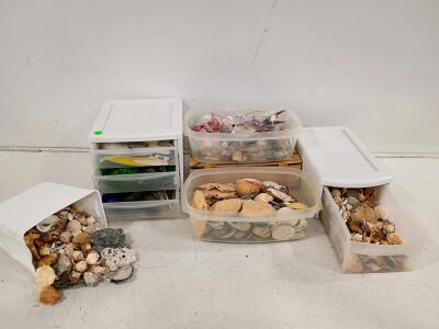 Bulk Lot Assorted Natural Sea Shells, Crab Shells, Coral, Sand Dollars, Mixed Craft Feathers, Storage Bins