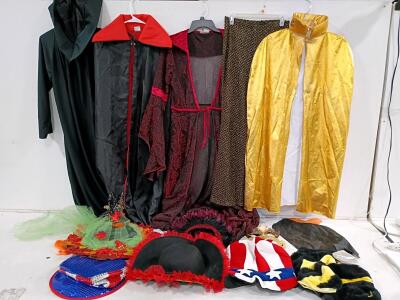 Halloween Costume Lot, Capes, Tops, Pants, Hats, and Dog Costumes