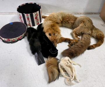 Vintage Fox and Mink Fur Stoles with Hat Box