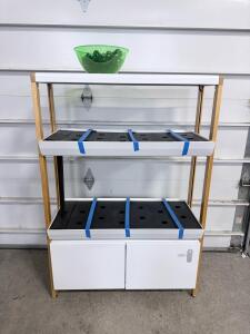 Rise Gardens Hydroponic Indoor Garden System, Two-Level, Full-Spectrum LED, Wi-Fi Controlled