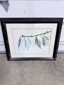 Framed A. Kalvani Botanical Art Print, Black Wood Frame, 24x30 in, Signed