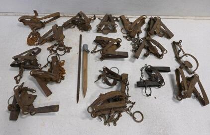Vintage Steel Leg-Hold Animal Traps, Double Long Spring, Set of 14