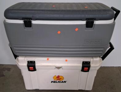Igloo & Pelican Portable Coolers &ndash; Heavy-Duty Plastic, Dual Handles, Latch Closures