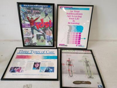 Set of 4 Framed Chiropractic Educational Posters &ndash; 21x25 Inches Each