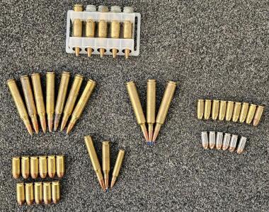 Mixed Lot of 44 Rifle & Pistol Cartridges: .223, .308, 9mm, .45, .38, Brass/Nickel, FMJ