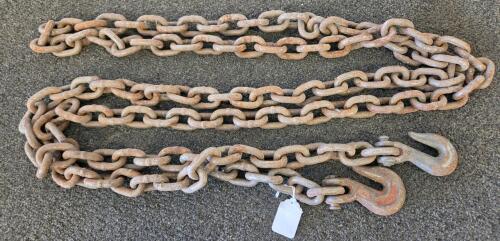 12 ft Steel Tow/Logging Chain with Clevis Grab Hooks, Heavy-Duty, Rusted, D Marked