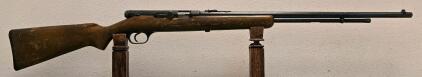 Stevens Ranger 101.16 Semi-Automatic .22 Rifle, 24" Barrel, Wood Stock