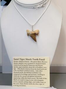 SandTiger Shark Tooth Fossil Necklace