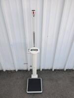 Seca 703 Digital Medical Scale with Height Rod, 660 lbs Capacity, BMI Function - 2