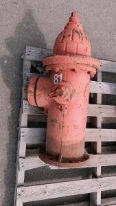 Waterous Pacer Dry Barrel Fire Hydrant, 5&frac14;" Valve, 250 PSI, 6" Flanged Inlet (Inspect In Person)