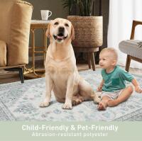 Large Washable Non-Slip Area Rug, D31-T Bluetooth Karaoke Set With Dual Wireless Mics, Woven Tray - 8