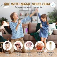Large Washable Non-Slip Area Rug, D31-T Bluetooth Karaoke Set With Dual Wireless Mics, Woven Tray - 12
