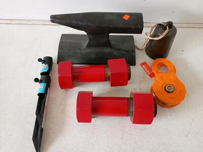 Mixed Tool Lot: Blacksmith Anvil, 2 Red Steel Bolts, 50ft Pocket Hose, VEVOR Pulley, TIKI Stakes