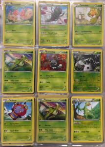 Huge Binder Of 330+ Pok&eacute;mon Cards W/ Tons Of Holos And Rares