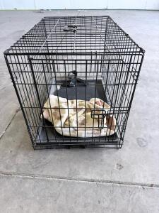Single Door Folding Metal Dog Crate 24x18x19 Inch with Removable Tray and Carry Handle