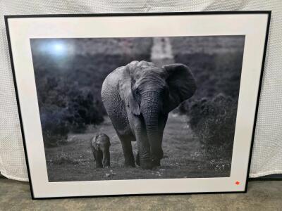 Large Framed Black & White Elephant and Calf Wildlife Photo Print, ART.COM, 48x38", Metal Frame