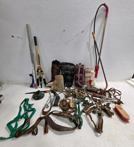 Large Lot Horse Tack: 2 Turnout Blankets, 4 Leg Boots, Halter, Ropes, Grooming Tools