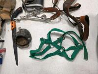 Large Lot Horse Tack: 2 Turnout Blankets, 4 Leg Boots, Halter, Ropes, Grooming Tools - 2