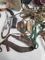 Large Lot Horse Tack: 2 Turnout Blankets, 4 Leg Boots, Halter, Ropes, Grooming Tools - 3