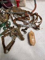 Large Lot Horse Tack: 2 Turnout Blankets, 4 Leg Boots, Halter, Ropes, Grooming Tools - 4