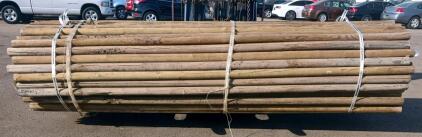 10&rsquo;x3.5&rdquo; pressure treated corral rails &ndash; 100 pieces