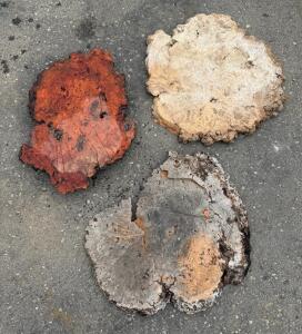 Burl Wood Slabs (Maple/Redwood) &ndash;Natural Edge, Unique Grain, Raw & Finished Options