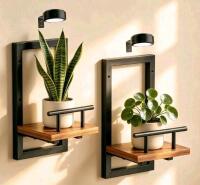 Mixed Lot: Wall-Mounted Plant Rack Set with Integrated Grow Lights, 2 Racks, Black Metal Frame, Wood Shelves, Yard Art, Bug Traps, & More - 6
