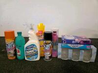 Large Assorted Household Supply Lot: Cleaning, Pest Control, Hardware, Laundry, Glassware, 22 Items - 2