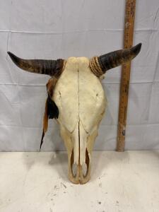 Cow Skull with 20" Horns, Natural Bone & Feathers, Western Decor Art