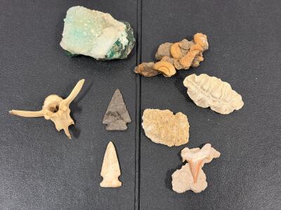Mixed Fossil and Mineral Lot &ndash; Quartz, Shark Tooth, Arrowheads, Coral Fossils, Bone, 8 Pieces