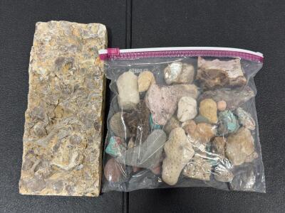 Fossiliferous Limestone Slab & Assorted Rock Mineral Fossil Collection &ndash; 26 Pieces &ndash; Fossils Visible