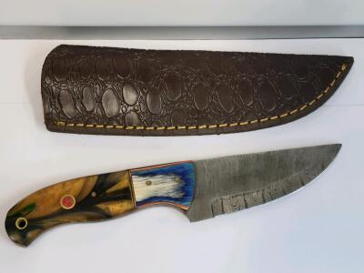 Hand-Forged Damascus Steel Fixed-Blade Knife with Multi-Color Resin Handle and Leather Sheath