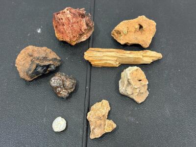 Mixed Lot of 8 Rock, Mineral, and Petrified Wood Specimens