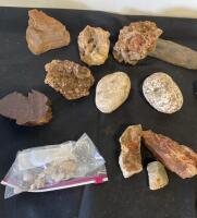 Mixed Rock, Mineral, and Fossil Collection &ndash; 18+ Specimens Including Petrified Wood and Fossilized Shell - 3