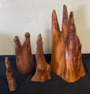 Set of 4 Natural Bald Cypress Knee Sculptures, Decorative Wood Roots, Tallest 28", Sanded Finish
