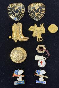 Vintage Pin Collection &ndash; Idaho Fish & Game, Snoopy Ski, Western, Religious, Floral, Lot of 10